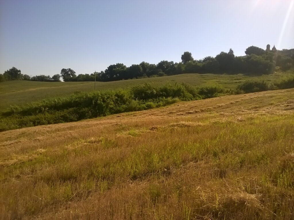 Nuova condotta fognaria – Orciano